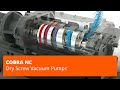 COBRA NC Series Screw Vacuum Pumps – Busch Vacuum Pumps and Systems