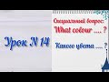 Урок N 14. Специальный вопрос "КАКОГО ЦВЕТА ... ?"