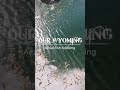Watch these #fish get dropped in alpine lakes by #helicopter!