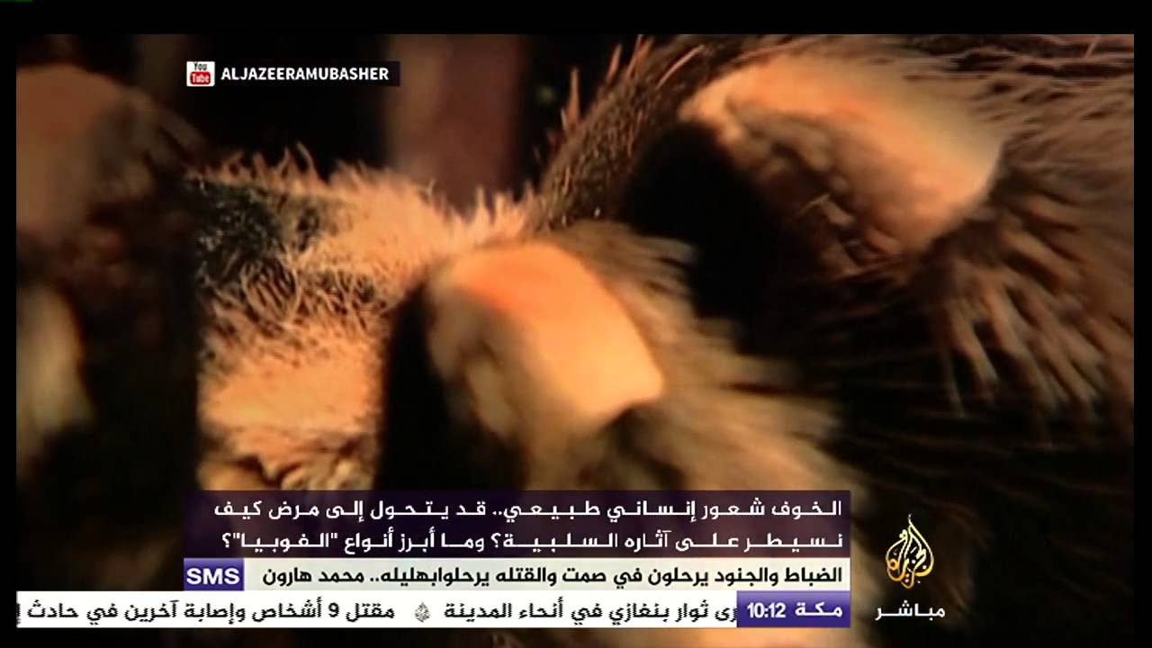 الخوف شعور طبيعي أم مرض
