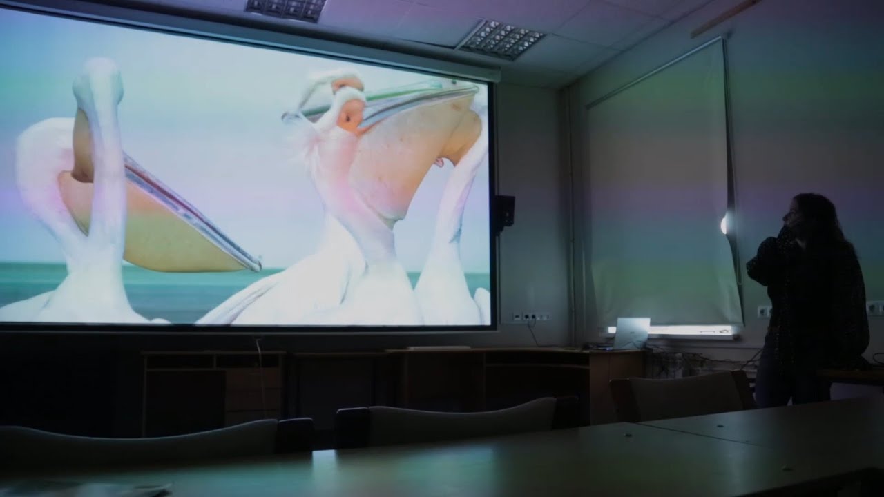 Мастер-класс Н.Дорофеевой на кафедре режиссуры неигрового кино ГИКИТ ...