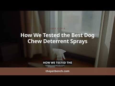 Watch: Best Dog Chew Deterrent Sprays: Top Picks to Stop Destructive Chewing