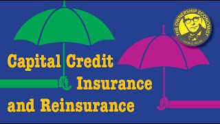 Capital Credit Insurance and Reinsurance