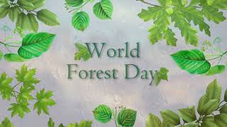 PTE AV Studio 11 project - World Forest Day
