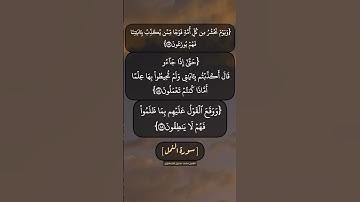 سورة النمل الآية ٨٣ الى ٨٦ بصوت الشيخ محمد صديق المنشاوي