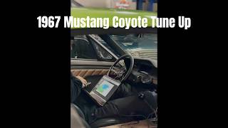 1967 Mustang Fastback Coyote Swap | This Thing Sounds MEAN