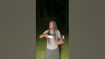 Only in Florida … this python is a monster