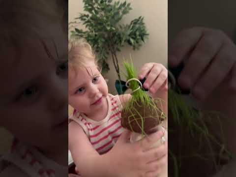 Les Activités Du Jour Momlife Maman Bebe Activites 