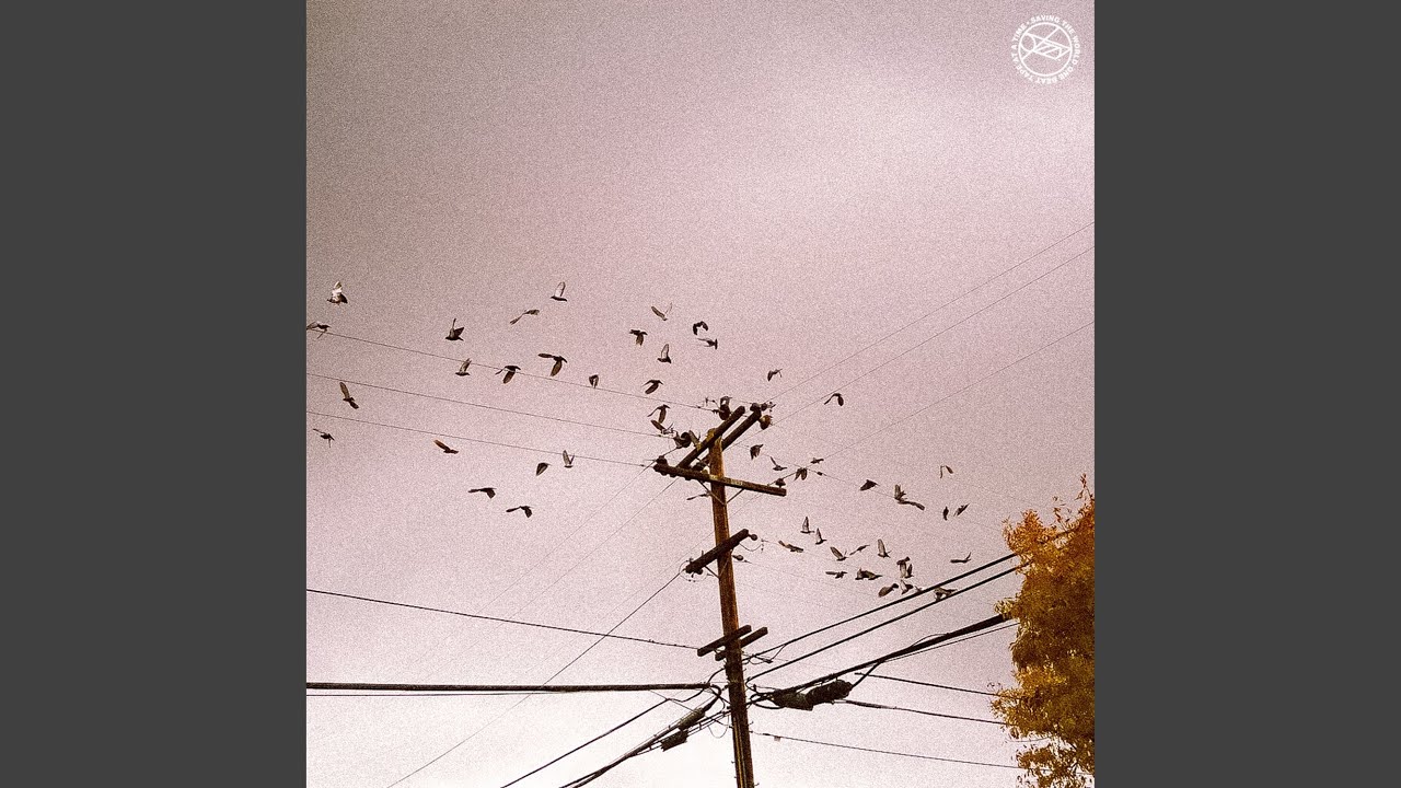 Watch Deeper on YouTube Watch Deeper on YouTube