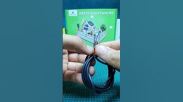How to Use DS18B20 Temp Sensor - Quick Tutorial! 💻