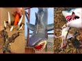 Fisherman Catching Seafood 🦀🦐 Deep Sea Creatures ( Catch Shark, Fish, Crab) - Tik Tok China #3