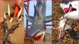 Fisherman Catching Seafood 🦀🦐 Deep Sea Creatures ( Catch Shark, Fish, Crab) - Tik Tok China #3