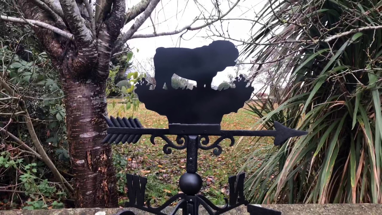 Bulldog Weathervane camera iphone 8 plus apk