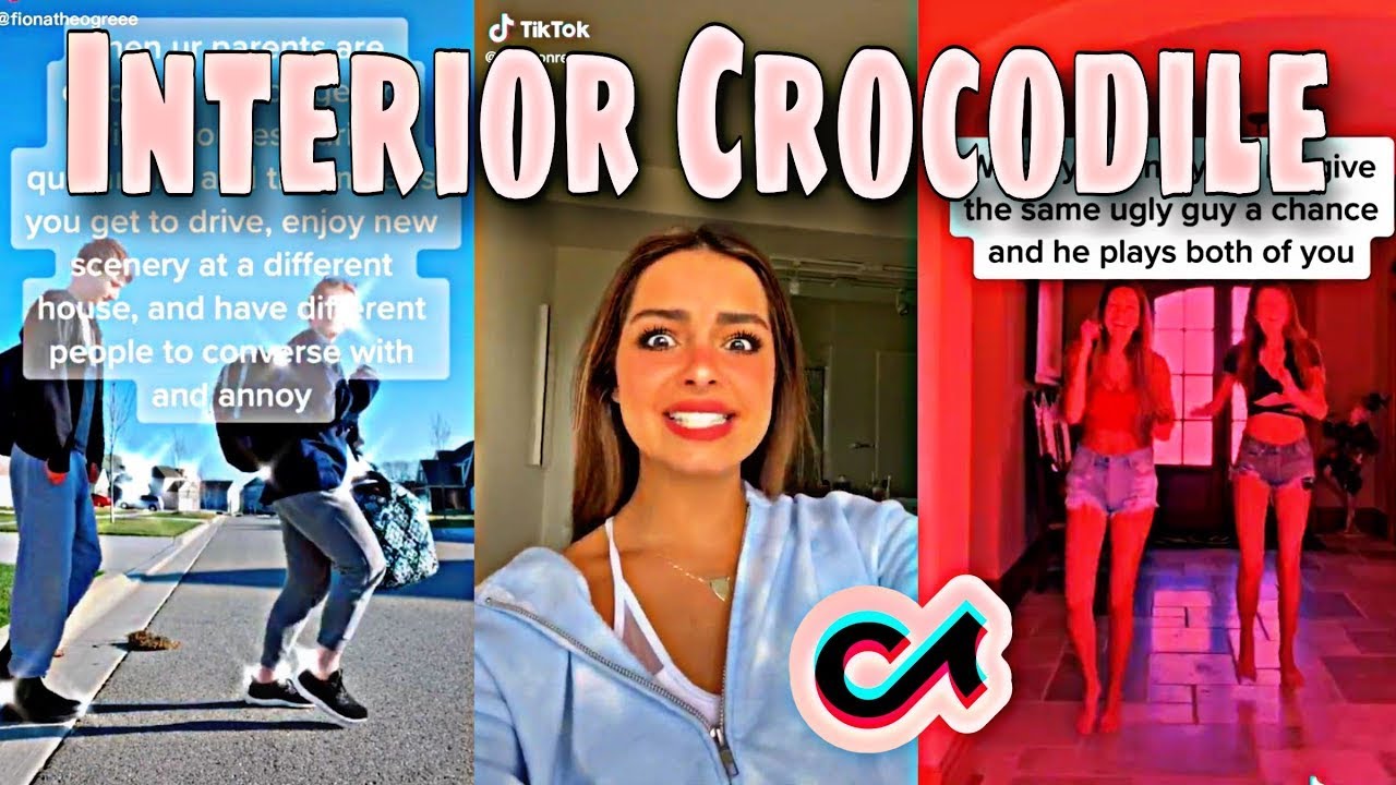 Interior Crocodile Alligator TikTok Compilation 🐊🚘 tiktokus YouTube