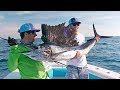 Fish of a Lifetime for New York Mets Outfielder Brandon Nimmo - 4K