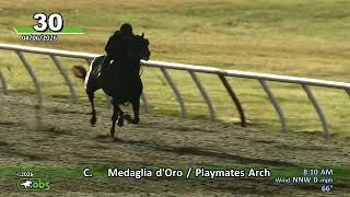 OBS April 2026 Under Tack Hip#1-203