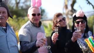 What Avi Katz Says (Liron and Avi's wedding song) - The Fox by Ylvis