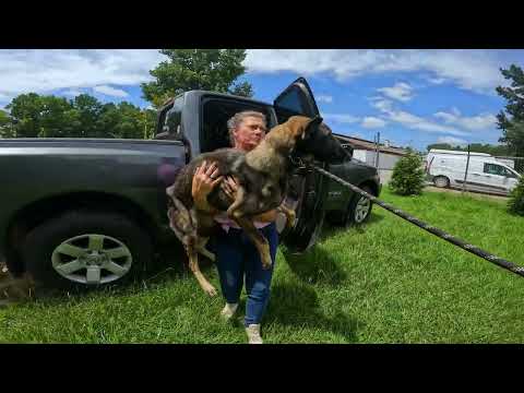 Sophie's Mission to find her Mother