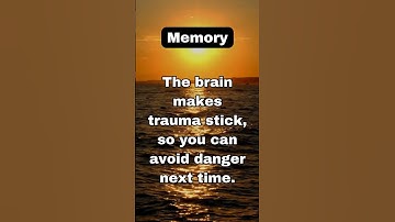 "Why Trauma Sticks in Your Memory 🧠⚠️ #PsychologyOfMemory"
