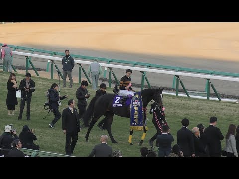 【現地的中】単複応援馬券 2017年 有馬記念 キタサンブラック引退レース！武豊 現地的中】単複応援馬券2017年有馬記念キタサンブラック引退