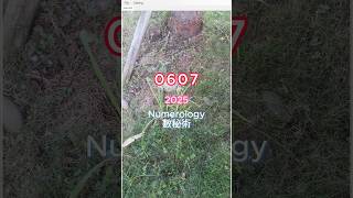 06-07-25 #原創音樂 #數秘術 #nature #獨立音樂 #plants #garden #numerology #music #beats