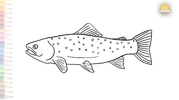 Trout drawings easy | Fish drawing tutorials | How to draw Trout fish drawing step by step easy