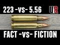 223 -vs- 5.56: FACTS and MYTHS