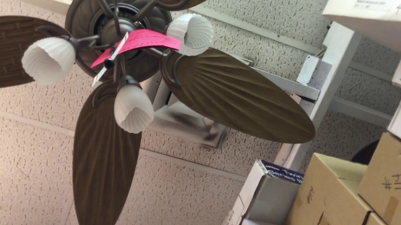Ceiling Fans At Dans Fan City In Rockville Md Youtube