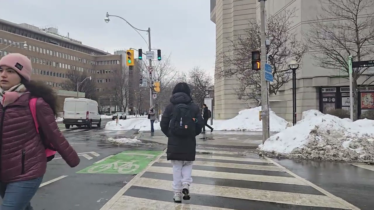 been at the royal ontario museum