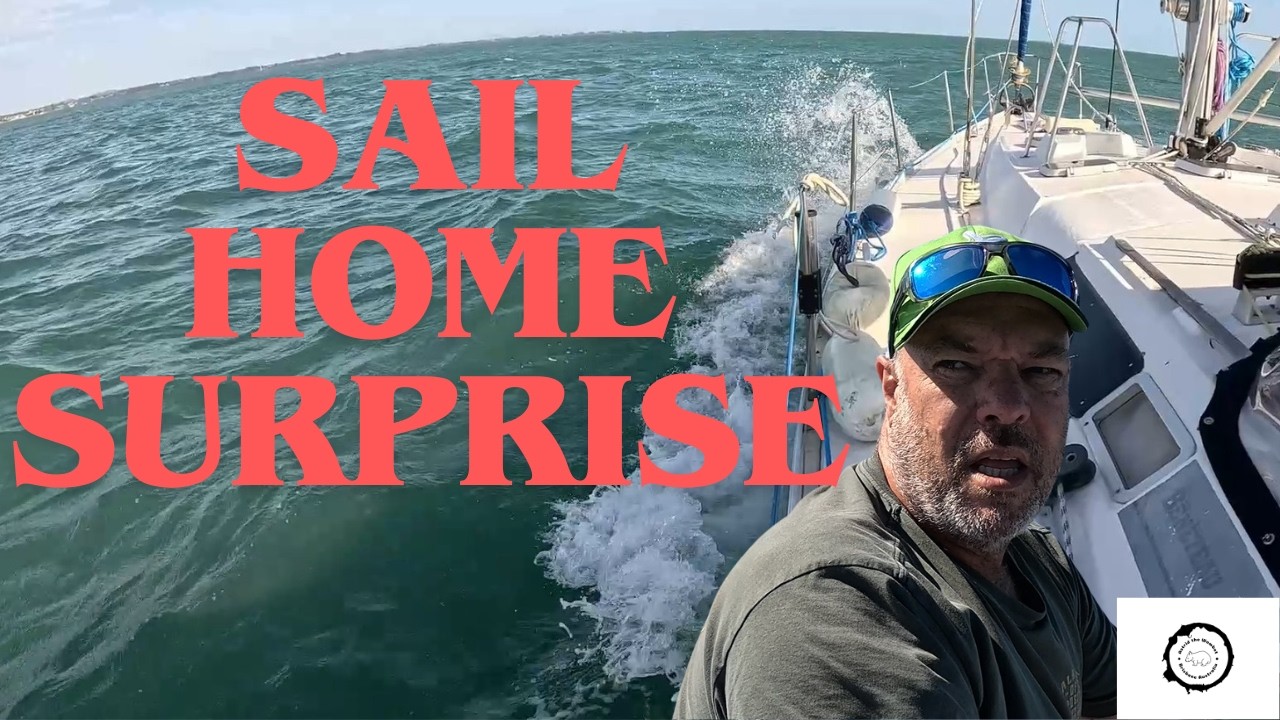 ⁣Sail Home Surprise: We Left Our Anchorage & Had a Sea Snake Visitor Liveaboard Sailing Life Ep 108