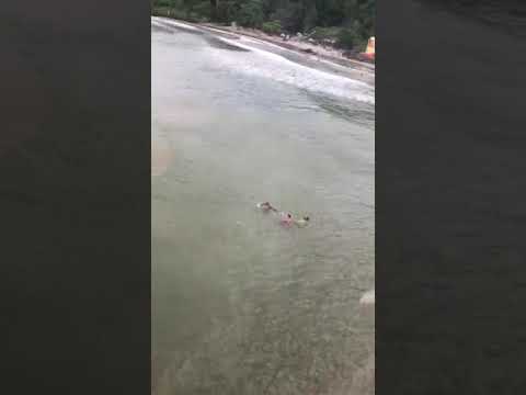 YouTube video player