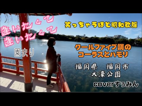 【Cover】逢いたくて逢いたくて/園まり　オリジナルハモリ＆コーラス入