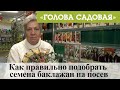 Голова садовая - Как правильно подобрать семена баклажан на посев