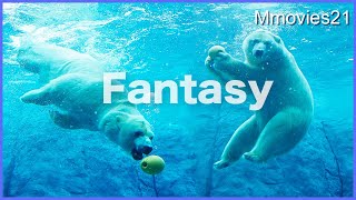 【ホッキョクグマ】テンションが上がって水中ファンタジー まるで海獣のように遊ぶリラ Polar Bears Life