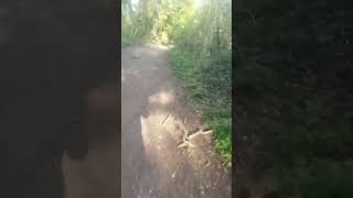 Stroll along Farthing Downs in Old Coulsdon