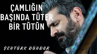 ÇAMLIĞIN BAŞINDA TÜTER BİR TÜTÜN - ŞENTÜRK DÜNDAR Resimi