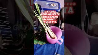 Ep.308 UJI COBA PENGUSIR NYAMUK DARI SEREH @GayaHouseplant  #garden #plant #short #shorts