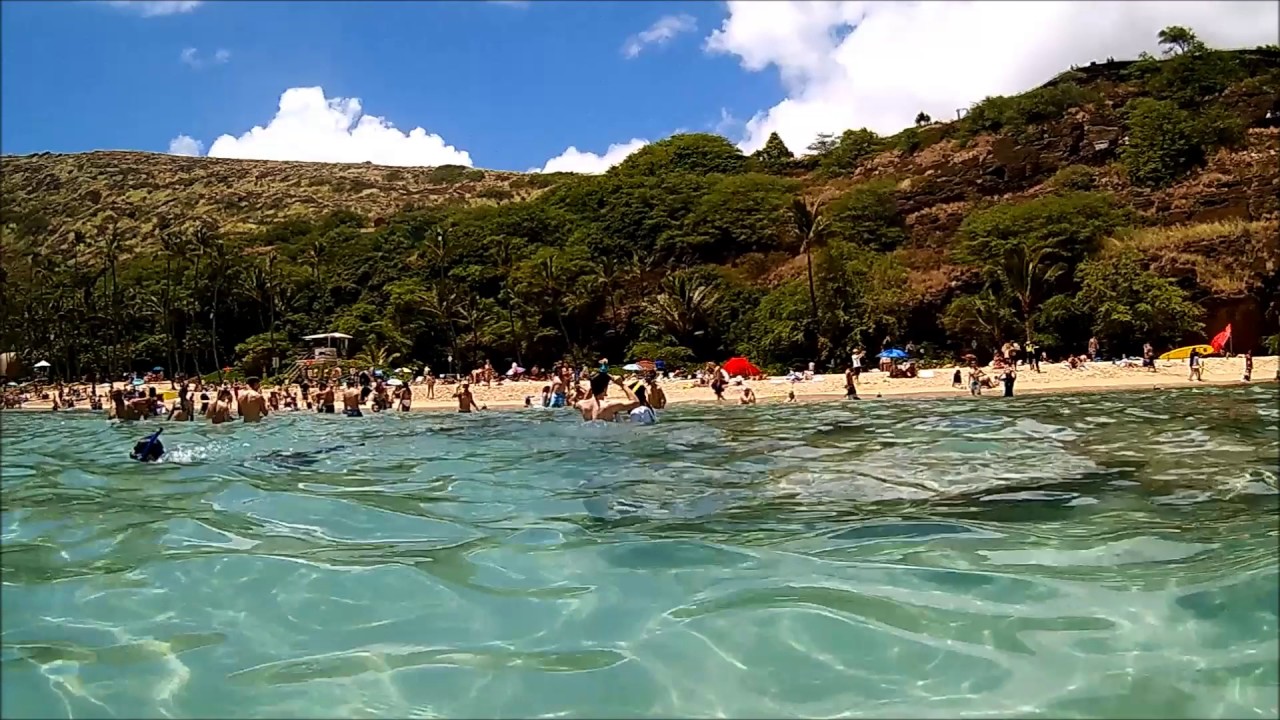 snorkeling in boracay View of Beautiful Hanauma Bay Beach from in the Water, Snorkeling in Hawaii, Honolulu, Oahu