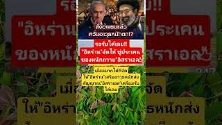 remix dj edm  sound automobile farmlife colonelkkj