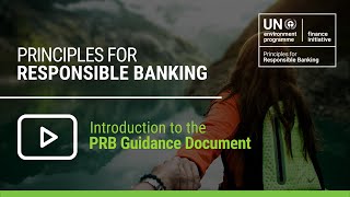 Webinar: Presentation of Principles for Responsible Banking Guidance Document