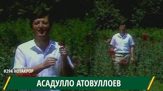картинка: Асадулло Атовуллоев Ин шодии рухи ту / Asadullo Atovulloev In shodii ruhi tu / أسادولو أتوفولييف