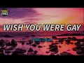 Billie Eilish - WISH YOU WERE GAY ( lyrics) | rqstd by: Mao Zheng | Sundae Lyrics
