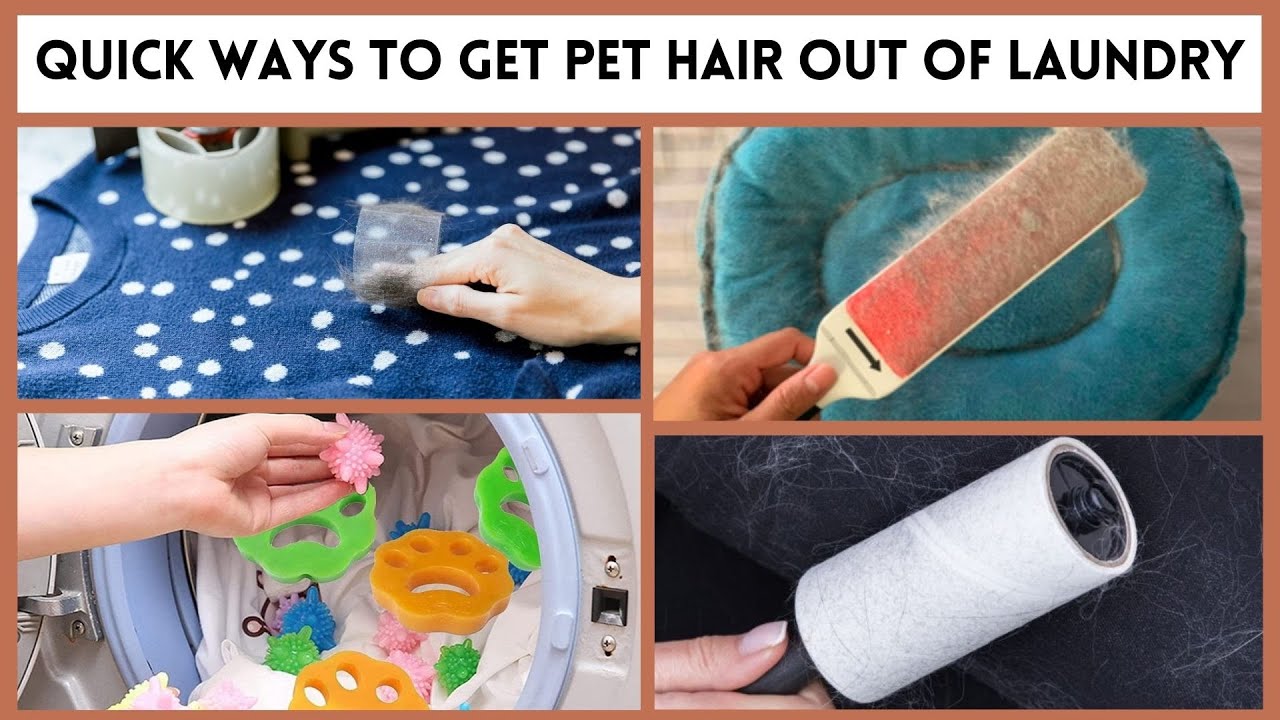 9 Ways To Get Pet Hair Out Of Laundry - Super Easy Quick Methods - YouTube
