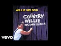 Willie Nelson - Healing Hands of Time (Official Audio)