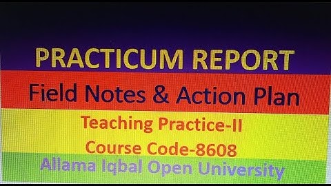 Practicum Report 8608_Leadership & Management l How to make Field Notes & Action Plan l