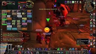 Firemaw Kill - Guild First - Off-Tank PoV