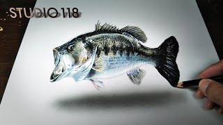 ブラックバスをリアルに描いてみた Youtube