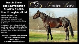 Best In Show Special promotion now through April 1st stud fee reduced to $1,500 call 260 585-4927