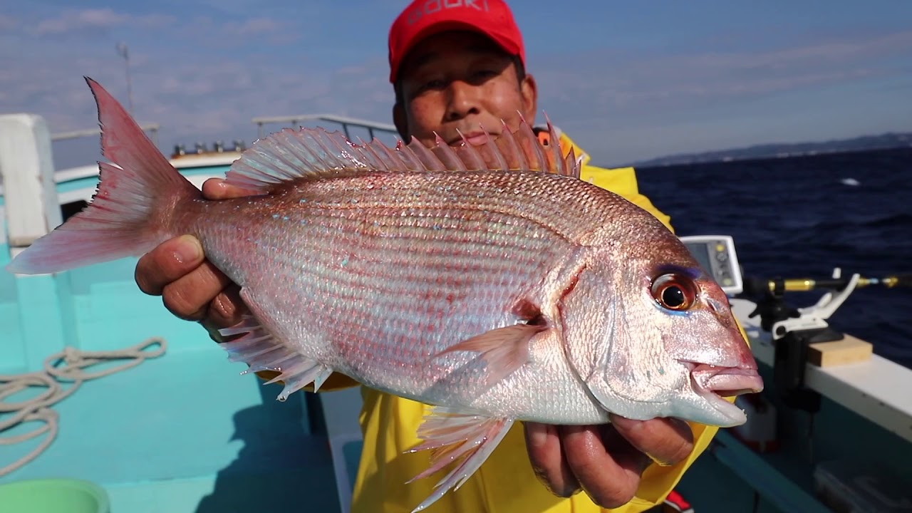 美マダイ続々!! ライト＆ショートロッドで攻略する東京湾コマセマダイ