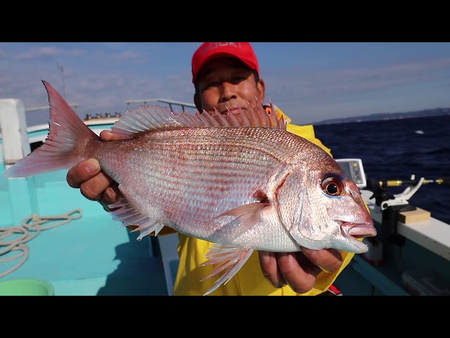 美マダイ続々!! ライト＆ショートロッドで攻略する東京湾コマセマダイ